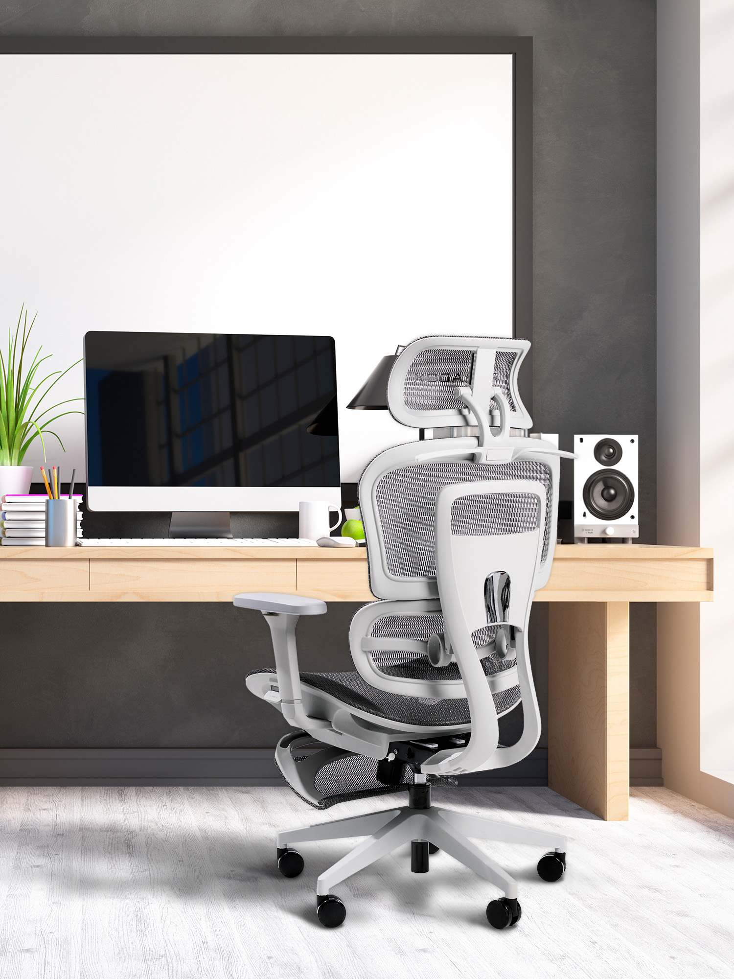 Ergo One Grey in the home office